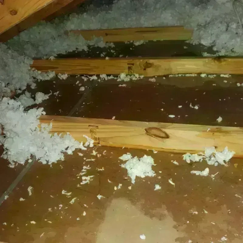 Attic Water Damage in Woodbranch, TX