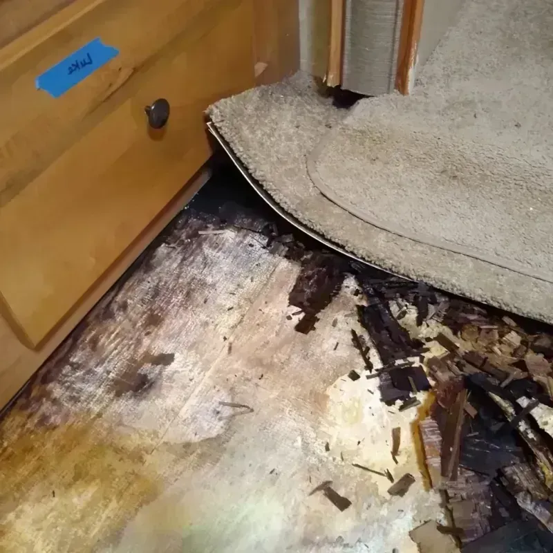 Wood Floor Water Damage in Woodbranch, TX